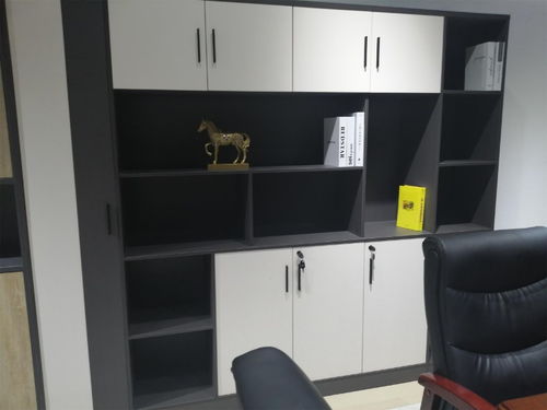 广西厂家直销办公家具文件柜与铁皮柜，服务北京办公用品与家用电器市场